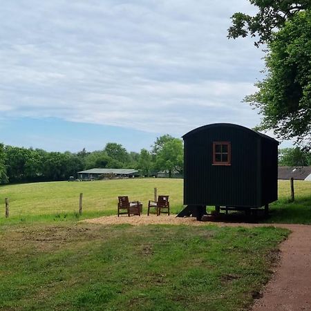 Shepherds Hut At Cummins Farm, Lyme Regis Hotel Bridport Exterior photo