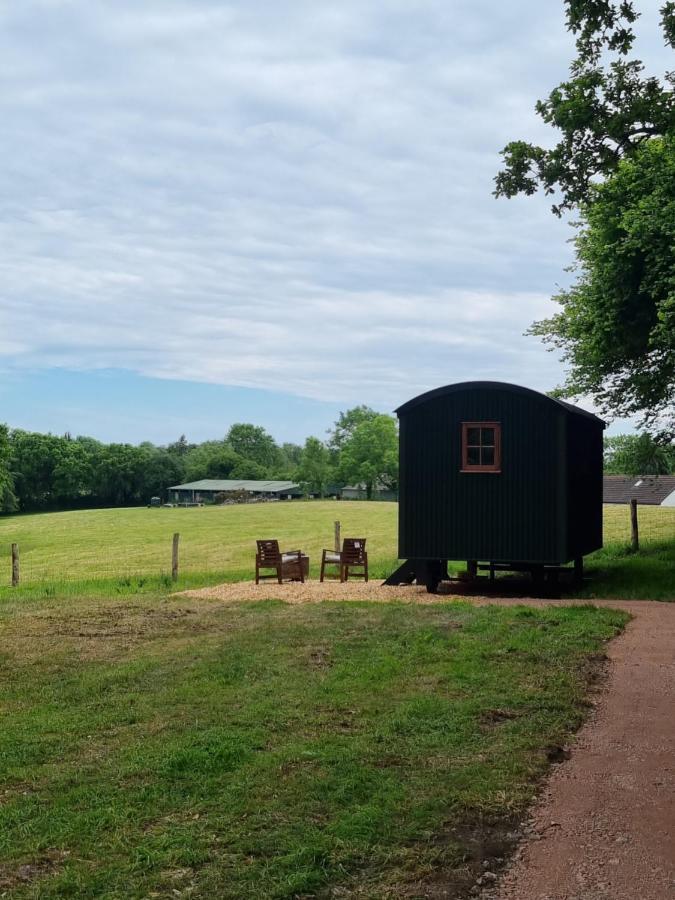 Shepherds Hut At Cummins Farm, Lyme Regis Hotel Bridport Exterior photo